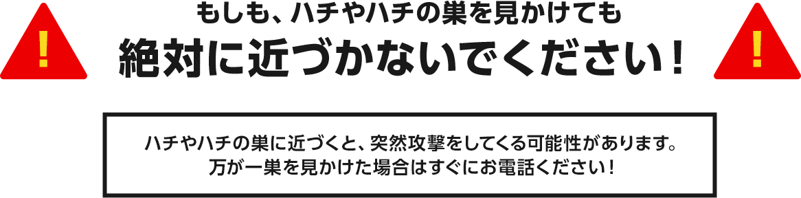 もしも、ハチや蜂の巣を見かけても絶対に近づかないでください！