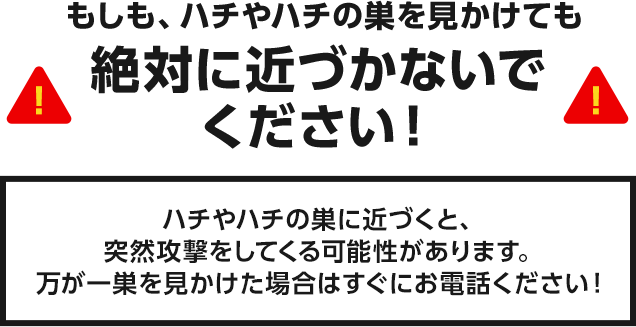 もしも、ハチや蜂の巣を見かけても絶対に近づかないでください！