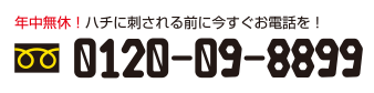 年中無休　今すぐハチに刺される前に！