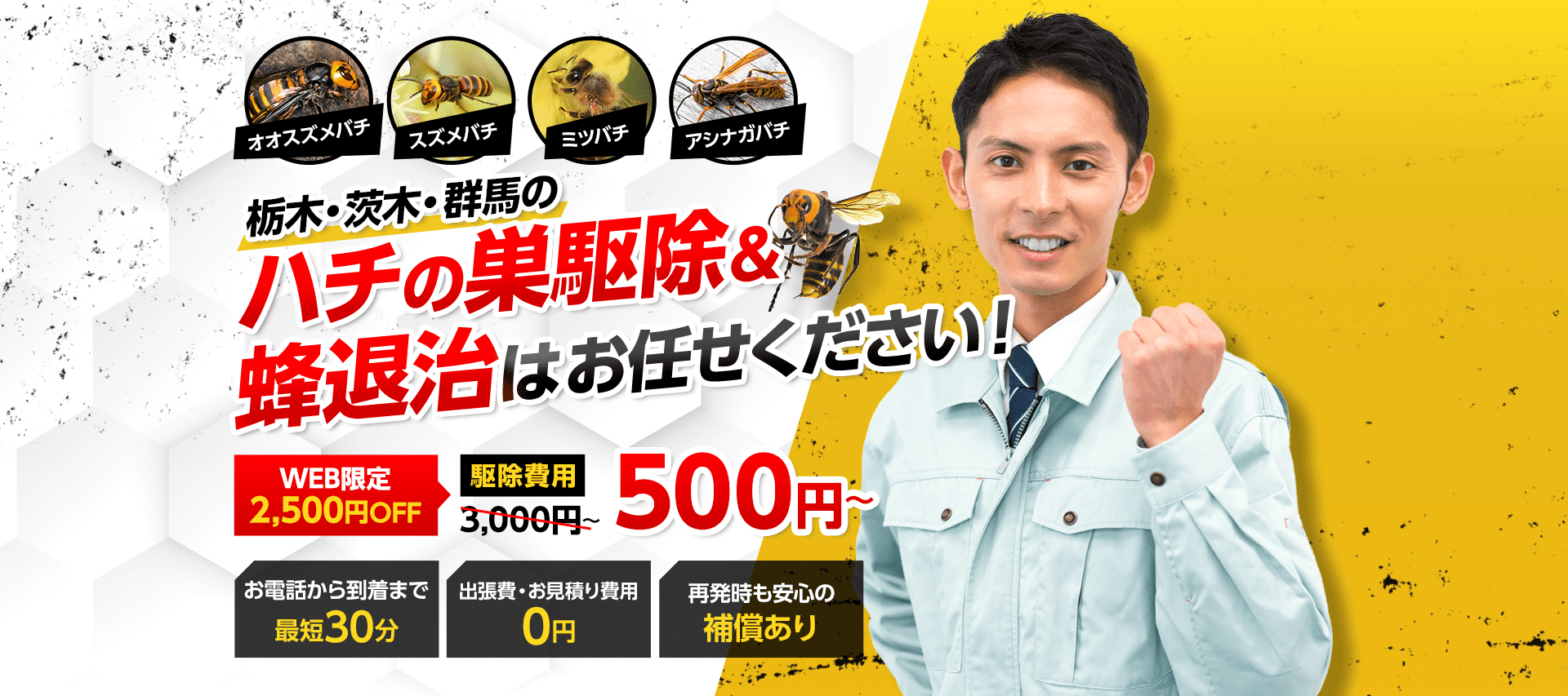 ハチは危険です絶対自分で駆除しないでください！　退治費用3,000円（税込）～