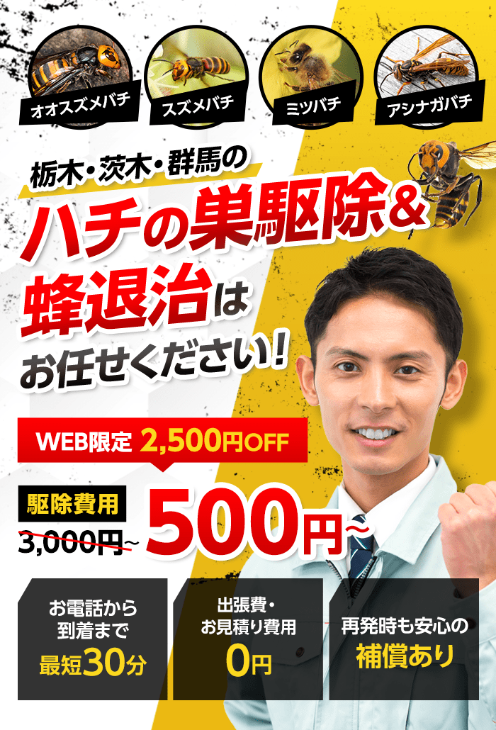 ハチは危険です絶対自分で駆除しないでください！　退治費用3,000円（税込）～