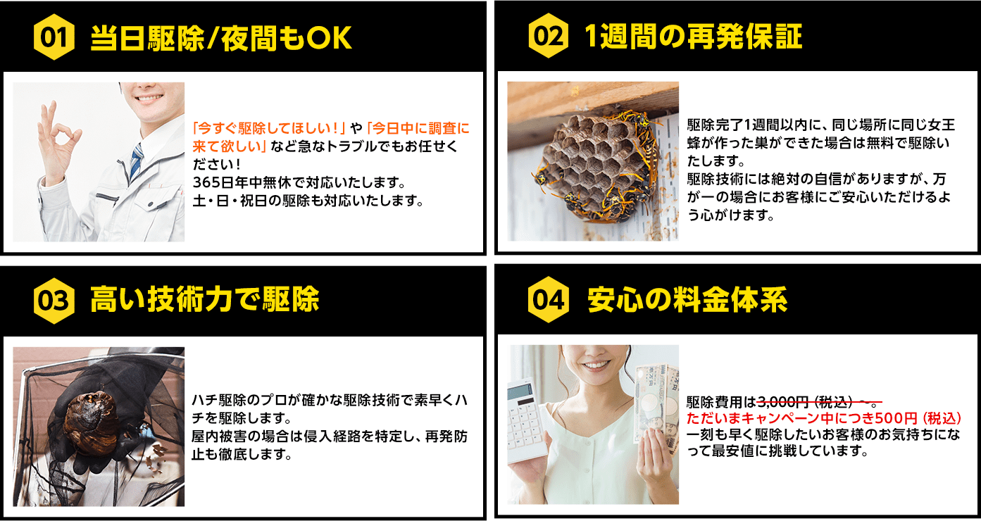 当日駆除/夜間もOK、1週間の再発保証、高い技術で駆除、安心の料金体系